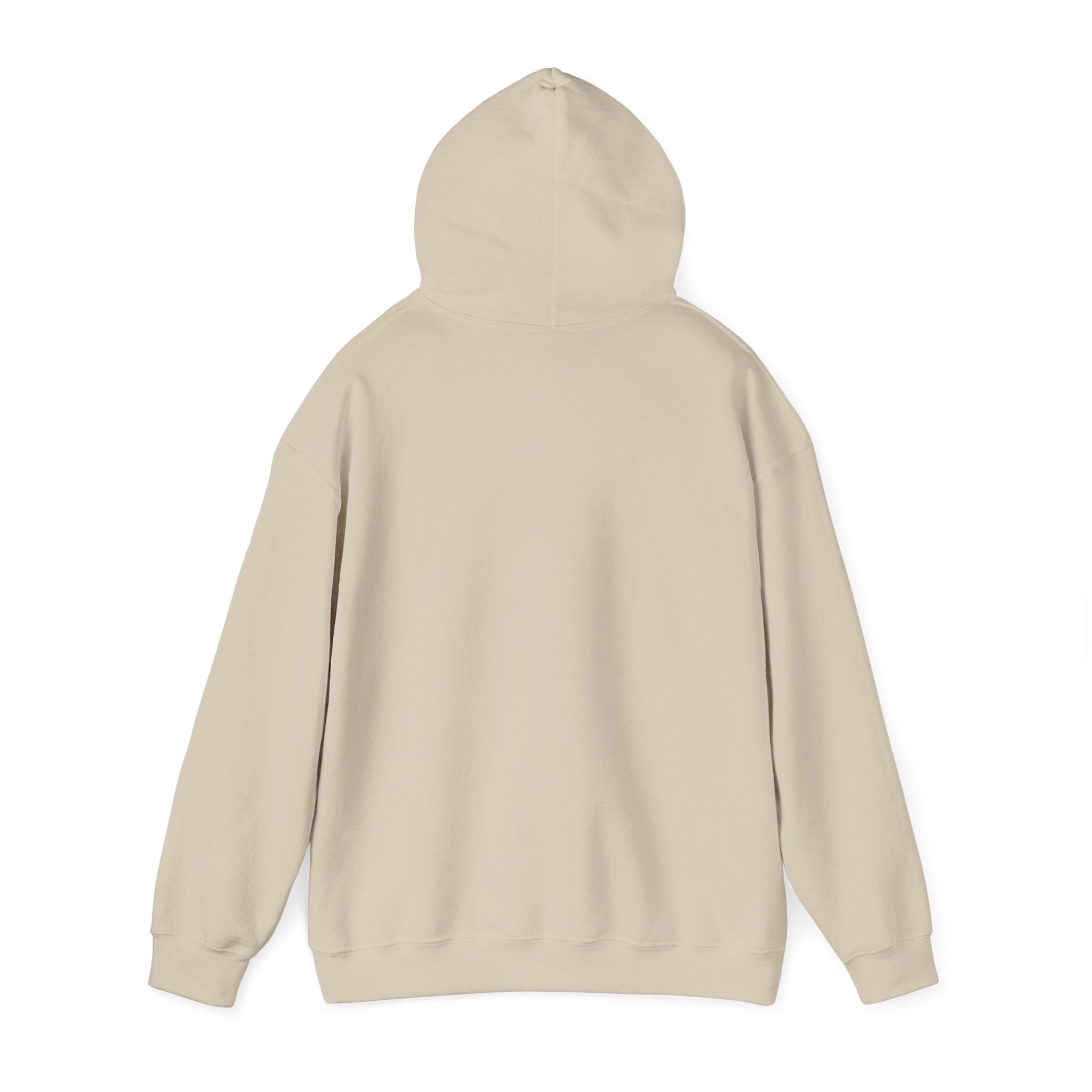 Island Enthusiast Hoodie – Vintage Surf Van Beach Pullover