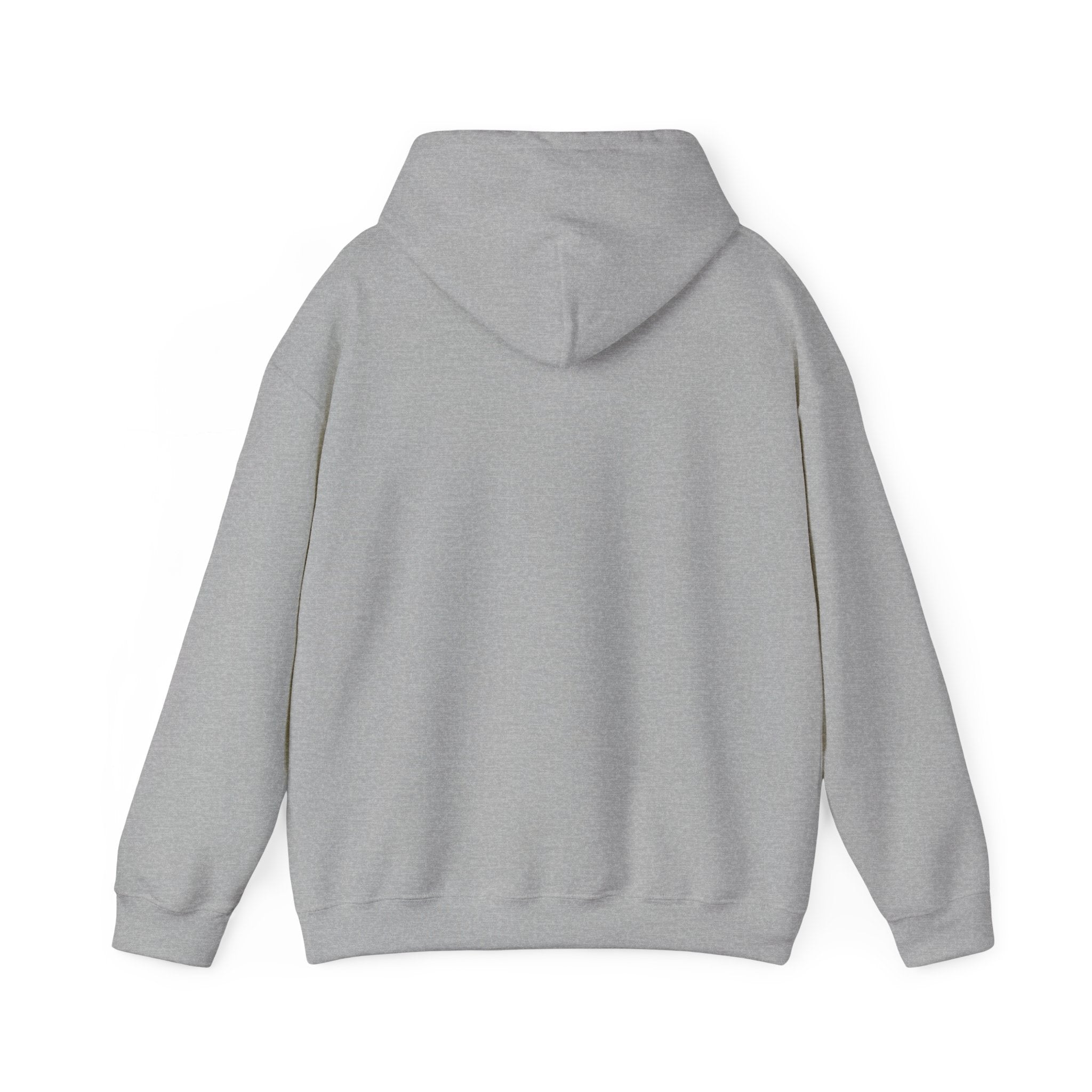 Island Enthusiast Hoodie – Vintage Surf Van Beach Pullover